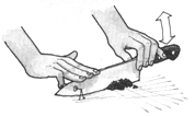 The blade rocks and pivots on the curve at the tip, and the straight run of the blade minces one way, then at right angles, as fine as desirable.